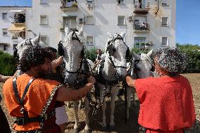 Roman Chariot Race During Emerita Lvdica - Spain