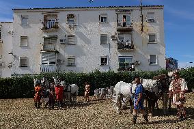 Roman Chariot Race During Emerita Lvdica - Spain