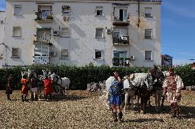 Roman Chariot Race During Emerita Lvdica - Spain