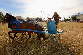 Roman Chariot Race During Emerita Lvdica - Spain