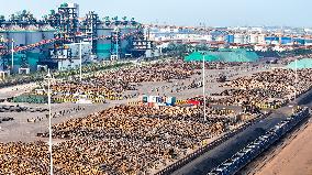 Largest Timber Import Port Rizhao Port in China