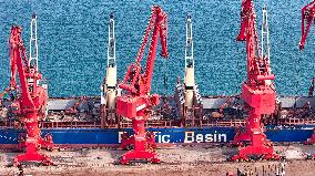 Largest Timber Import Port Rizhao Port in China