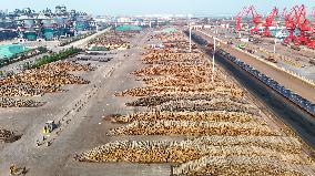 Largest Timber Import Port Rizhao Port in China