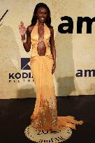 Antibes amfAR Gala Night red carpet MP