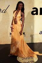 Antibes amfAR Gala Night red carpet MP