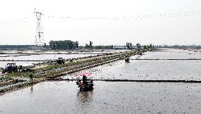 Smart Agriculture in Shenyang