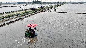 Smart Agriculture in Shenyang