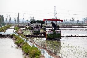 Smart Agriculture in Shenyang