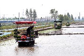 Smart Agriculture in Shenyang