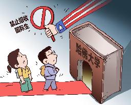 Cartoon Harvard University International Students