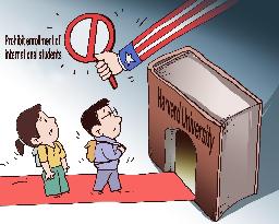 Cartoon Harvard University International Students