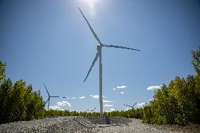 Aidu Wind Farm