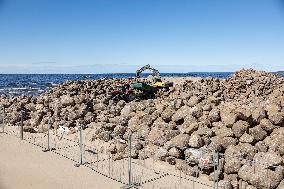 Narva-JÃµesuu pier