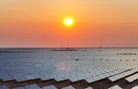 Clean Energy Industry in Ordos