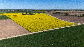 Agricultural landscape