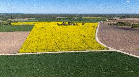 Agricultural landscape
