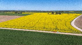 Agricultural landscape