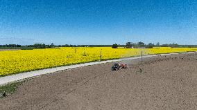 Agricultural landscape