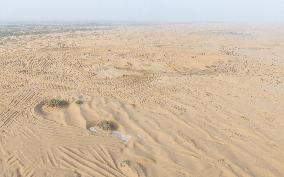 Taklamakan Desert Ecological Management