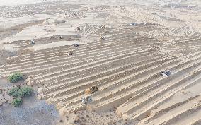Taklamakan Desert Ecological Management
