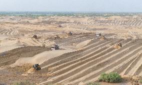 Taklamakan Desert Ecological Management