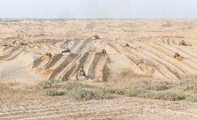 Taklamakan Desert Ecological Management