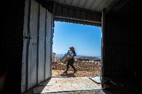 Settlers' Harrasement Forces Palestinians to Leave