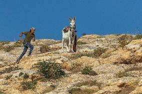 Settlers' Harrasement Forces Palestinians to Leave