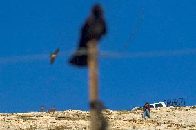 Settlers' Harrasement Forces Palestinians to Leave