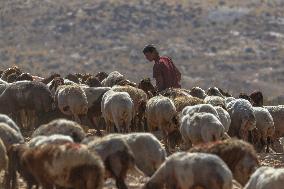 Settlers' Harrasement Forces Palestinians to Leave