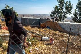 Settlers' Harrasement Forces Palestinians to Leave