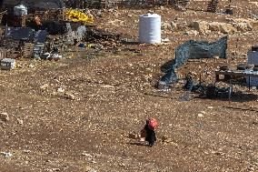 Settlers' Harrasement Forces Palestinians to Leave