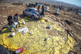 Settlers' Harrasement Forces Palestinians to Leave