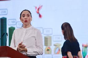 President Claudia Sheinbaum Holds Briefing - Mexico