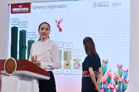 President Claudia Sheinbaum Holds Briefing - Mexico