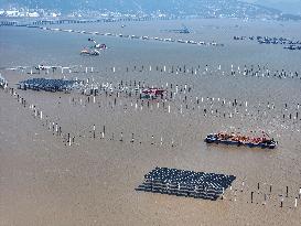 China Nuclear Tianwan Tidal Flat PV Construction