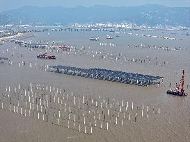 China Nuclear Tianwan Tidal Flat PV Construction