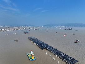 China Nuclear Tianwan Tidal Flat PV Construction