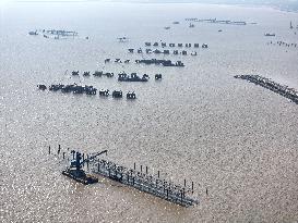 China Nuclear Tianwan Tidal Flat PV Construction