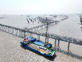 China Nuclear Tianwan Tidal Flat PV Construction