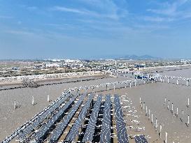 China Nuclear Tianwan Tidal Flat PV Construction