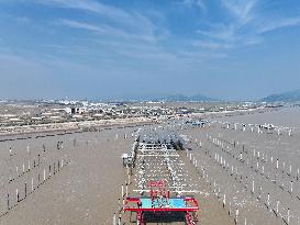 China Nuclear Tianwan Tidal Flat PV Construction