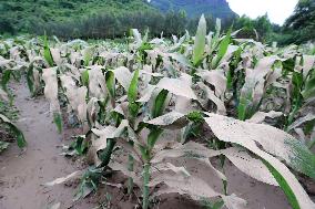 Rainstorm Hit Liuzhou