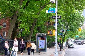 NYC and Department of Transportation honoring New York Knicks
