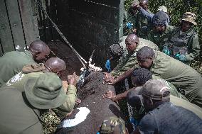 Black Rhino Translocation in Laikipia - Kenya