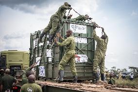 Black Rhino Translocation in Laikipia - Kenya