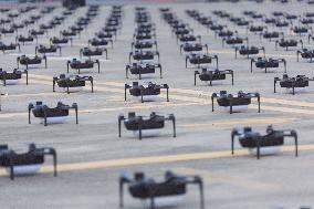 Drone