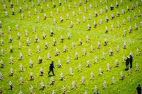 Memorial Day in Margraten - Netherlands