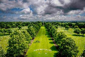 Memorial Day in Margraten - Netherlands