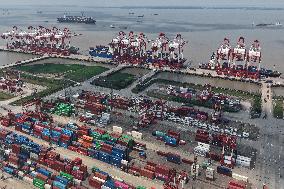 China Export Container Transportation Market